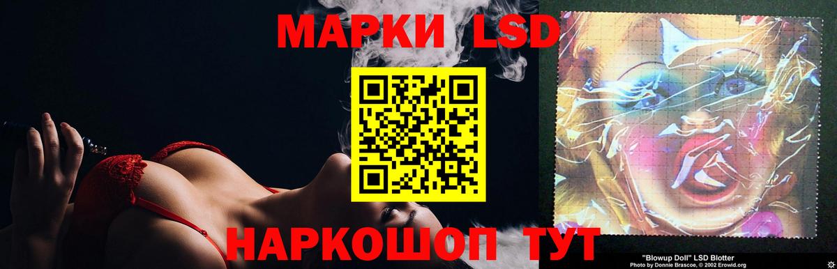 Где купить  Каннабис  Вход с VPN  Мефедрон кристаллы  COCAIN  ГАШ  Элиста  Меф МЯУ МЯУ 