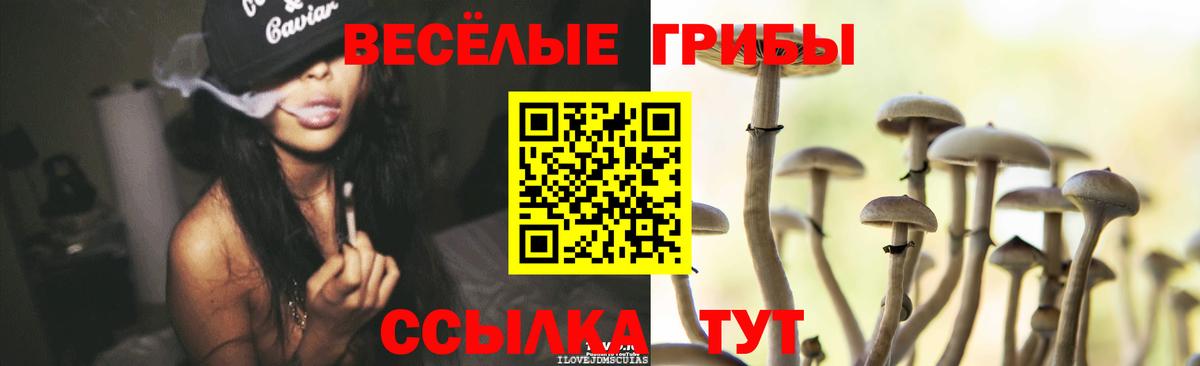 Псилоцибиновые грибы мицелий  Вход с VPN  Элиста 