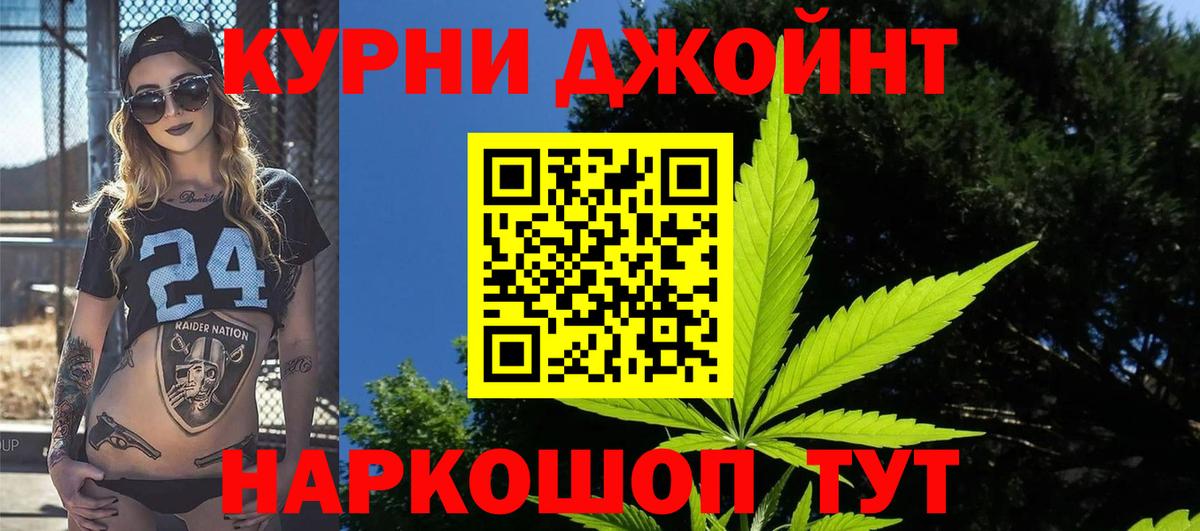 Конопля сатива Элиста